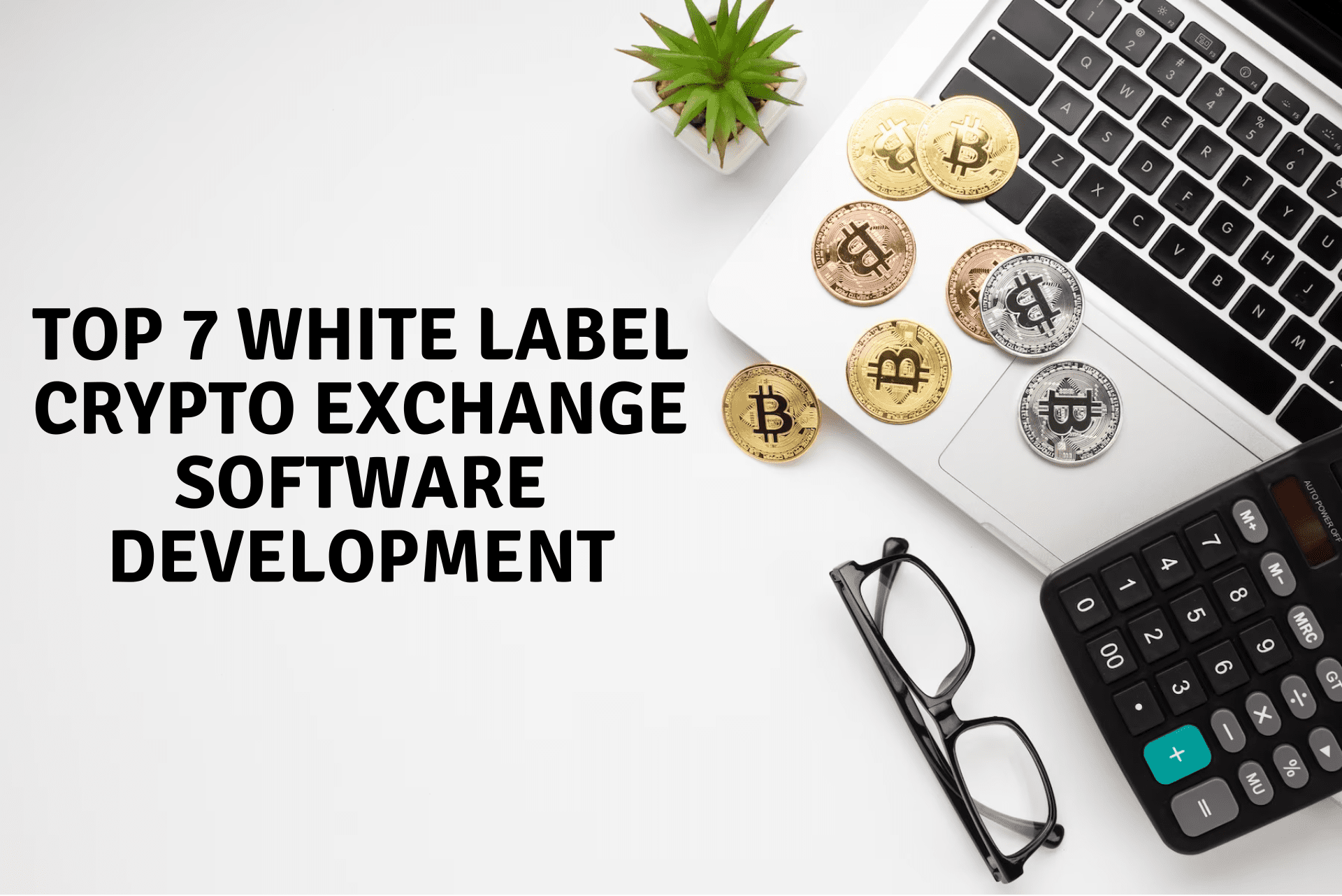 Top 7 White Label Crypto Exchange Software Development Companies In 2023